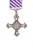 distinguished-flying-cross-obverse-view.jpg