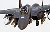 raf_f-15e_strike_eagle_iraq_2004.jpg